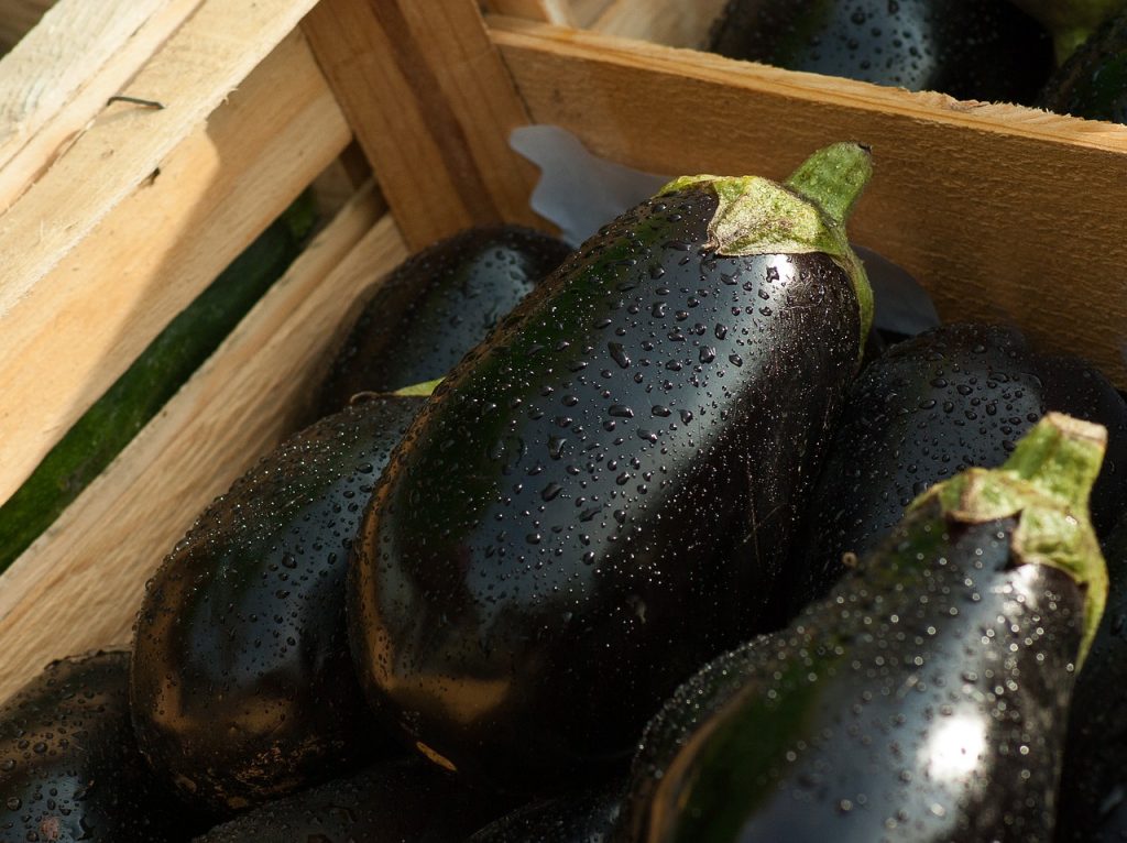 More Benefits From Eggplants