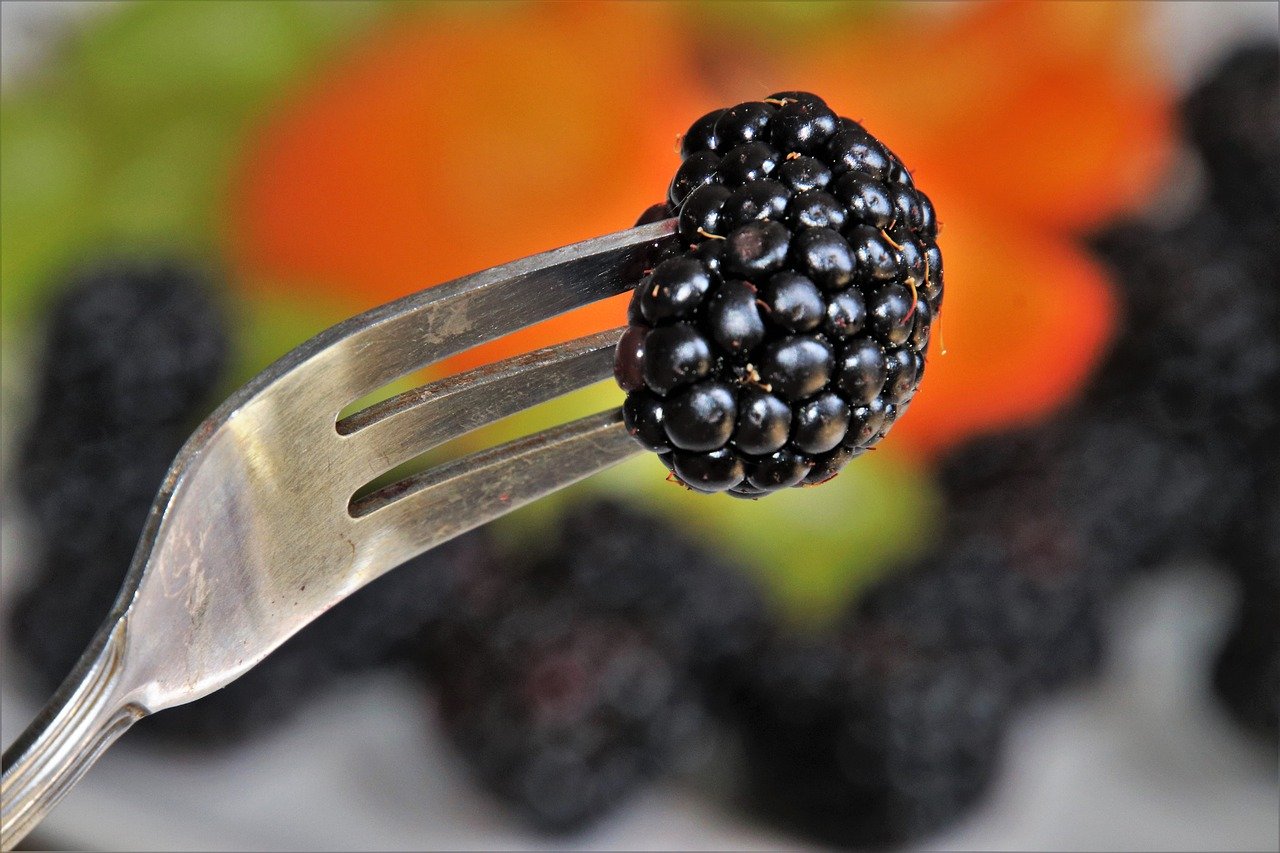 Black Raspberries For Skin Allergies? Who Knew? Dr. Asa Show